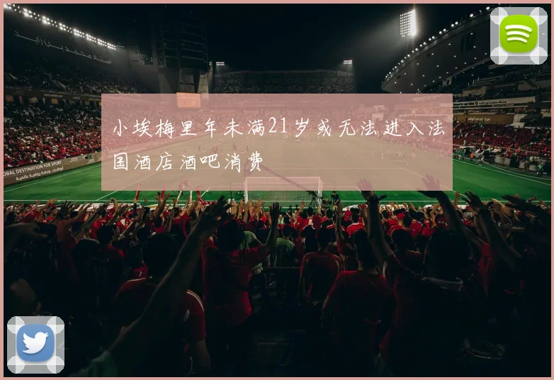 小埃梅里年未满21岁或无法进入法国酒店酒吧消费