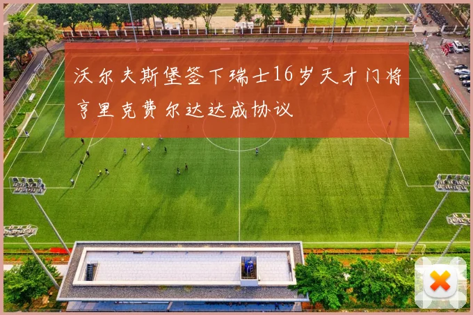 沃尔夫斯堡签下瑞士16岁天才门将亨里克费尔达达成协议