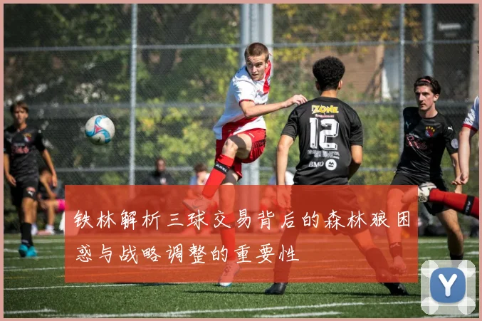 铁林解析三球交易背后的森林狼困惑与战略调整的重要性