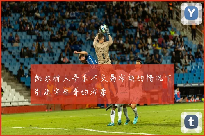 凯尔特人寻求不交易布朗的情况下引进字母哥的方案